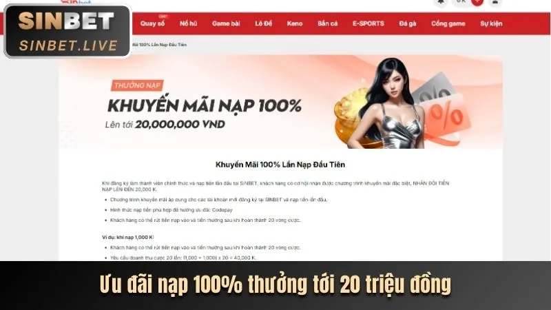 Ưu đãi dành cho VIP